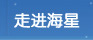 重大決策解讀